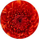 Najala Watson profile picture