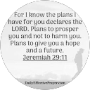 Soulful Mama profile picture