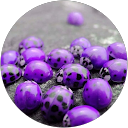 Tasha A. profile picture