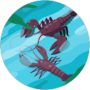 dawana smelly profile picture