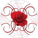 Angell profile picture